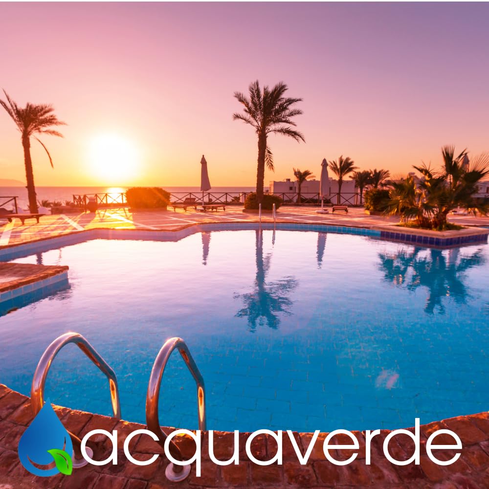 acquaverde | Antialghe Rapido Liquido, Alghicida Concentrato non Schiumogeno Contro la Formazione delle Alghe e per Mantenimento Acqua di Piscina, 25 kg