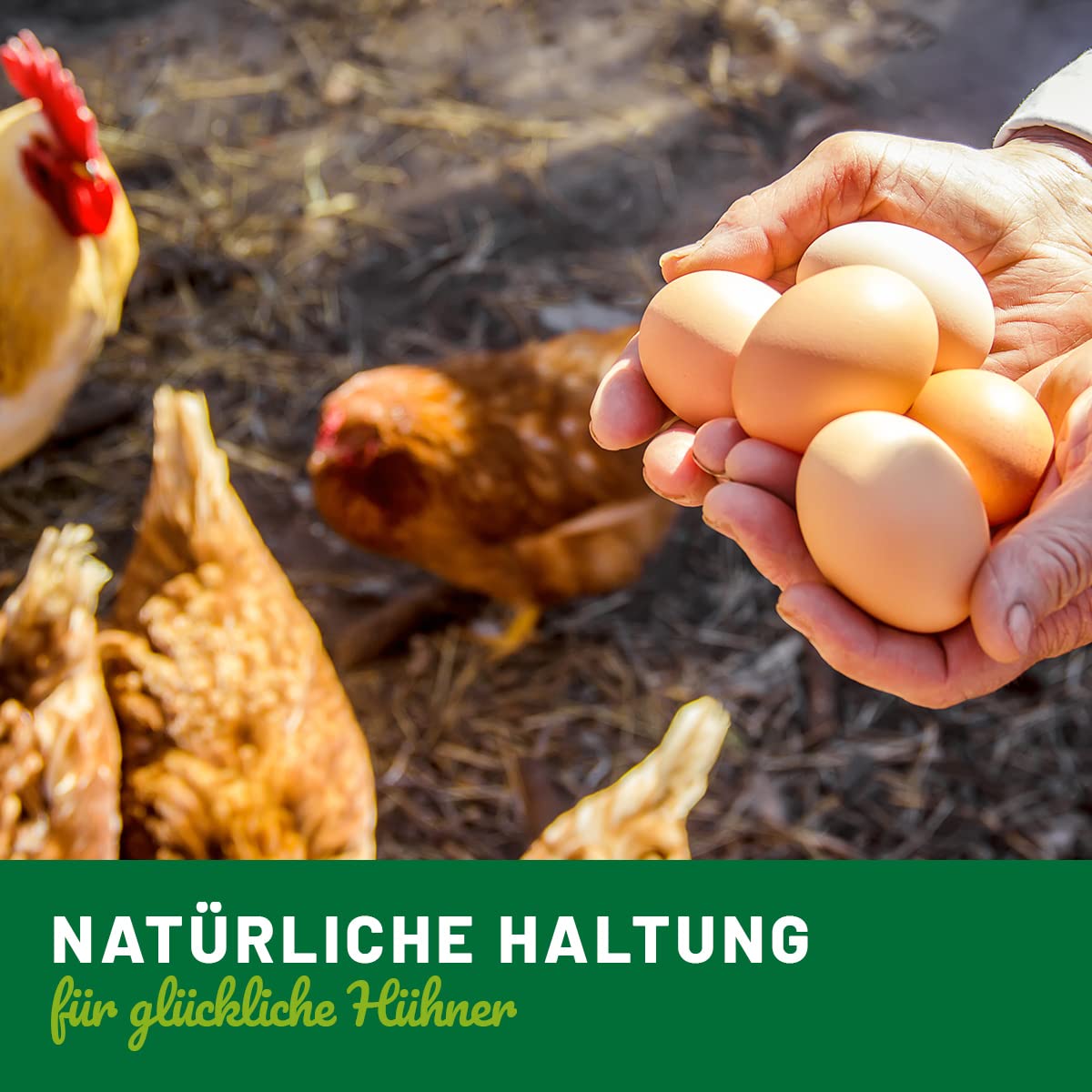 HÜHNER Land Huevos de arcilla para gallinas, 6 unidades – ayuda para incubar, realistas