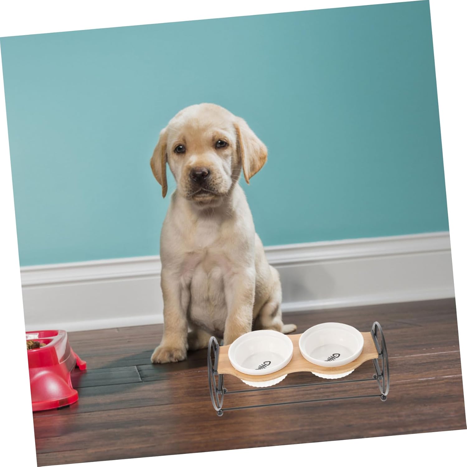 POPETPOP 1set Elevated Cat Bowl Ceramic Feeding Dishes Stand for Cats Comfortable Eating Drinking Easy to Stylish Design for Indoor Use Fishbone Bowls