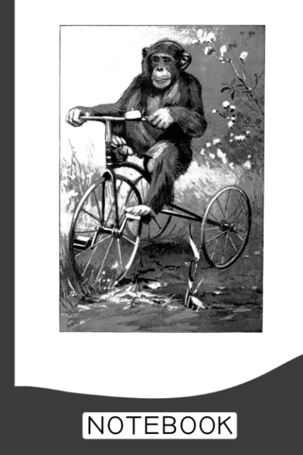 Monkey Riding Tricycle Notebook: Blank Lined Journal Notebook To Write In For Notes, To Do Lists, Notepad, Monkey Lover Gifts