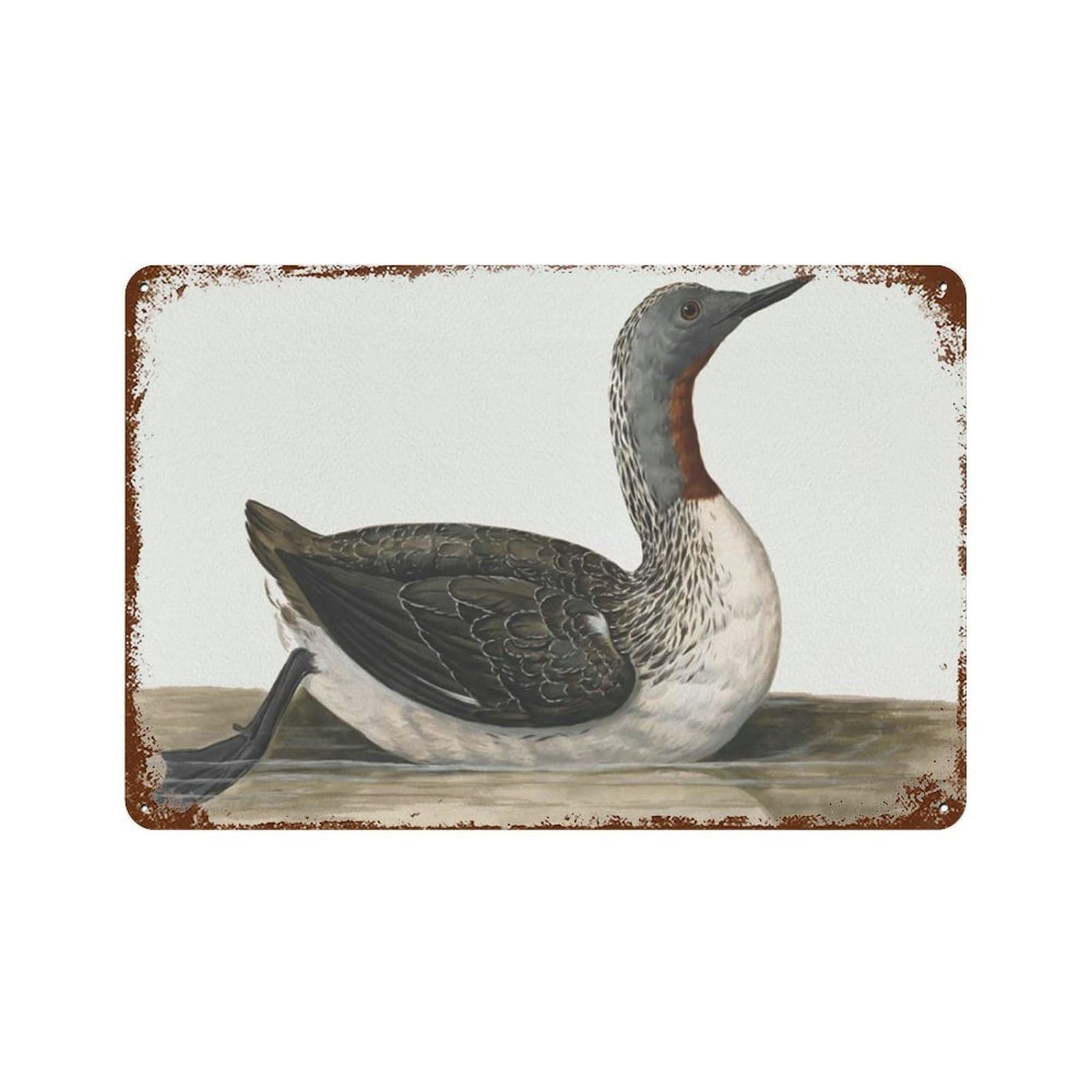 xiaoxiaoshen Vintage Duck, Nursery, Farmhouse Drawing Room Wall Decor Art Metal Tin Poster Modern Home Decor Art Home Bar Shop Decorations Vintage Sign 20x30cm