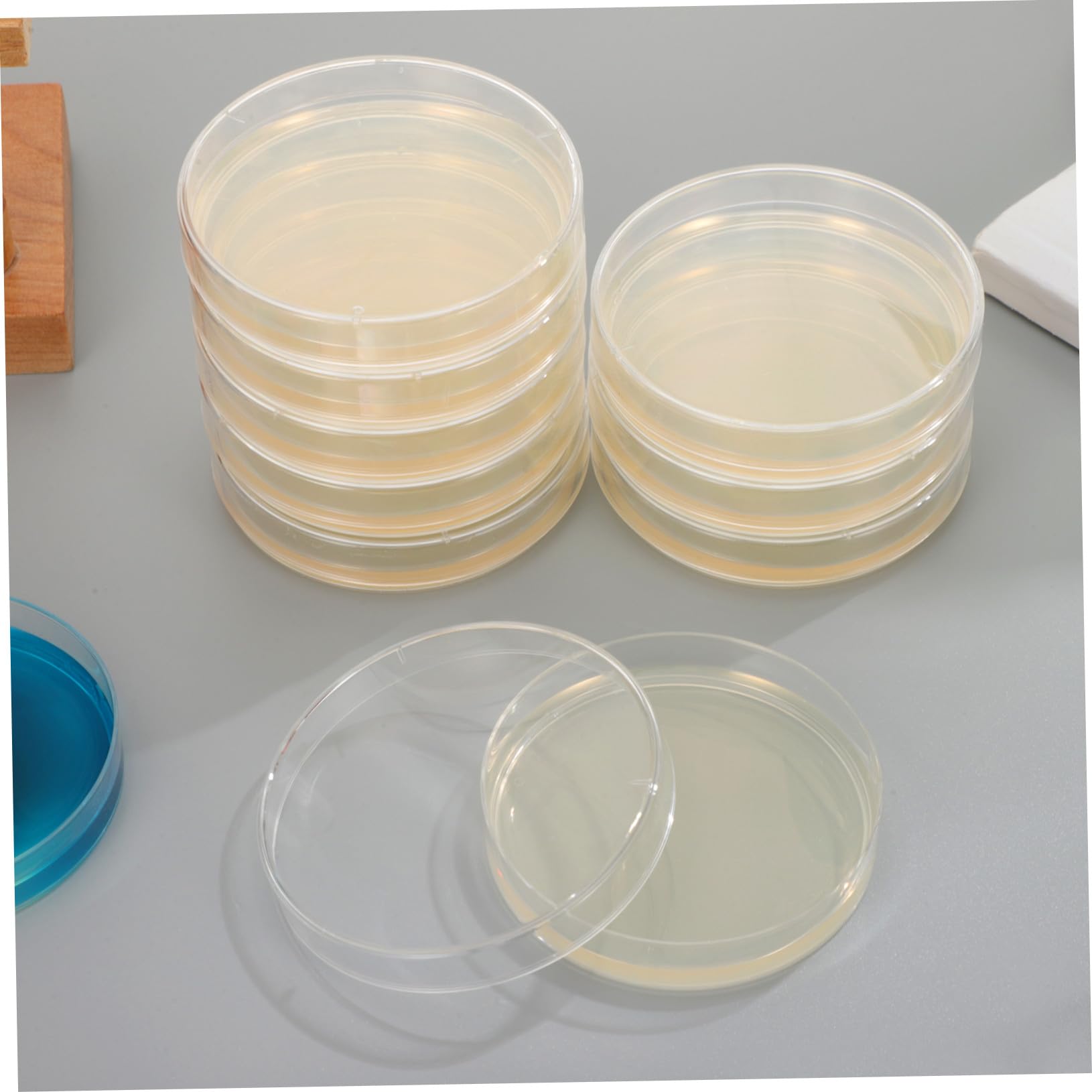 Agarplatten 20 Stück aus Agar für Labor und Kultivierung | 7 Cm Vorgegossen, Geeignet für Wissenschaftliche Experimente, Leicht zu Transportieren