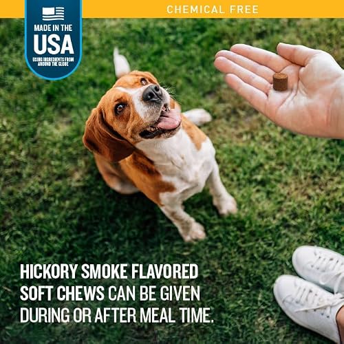 VetIQ Flea & Tick Support for Dogs, Flea and Tick Chewable for Dogs, Supports Dog\'s Natural Flea Defenses, Free of Added Chemicals and Garlic, Hickory Smoke Flavor, 60 Count