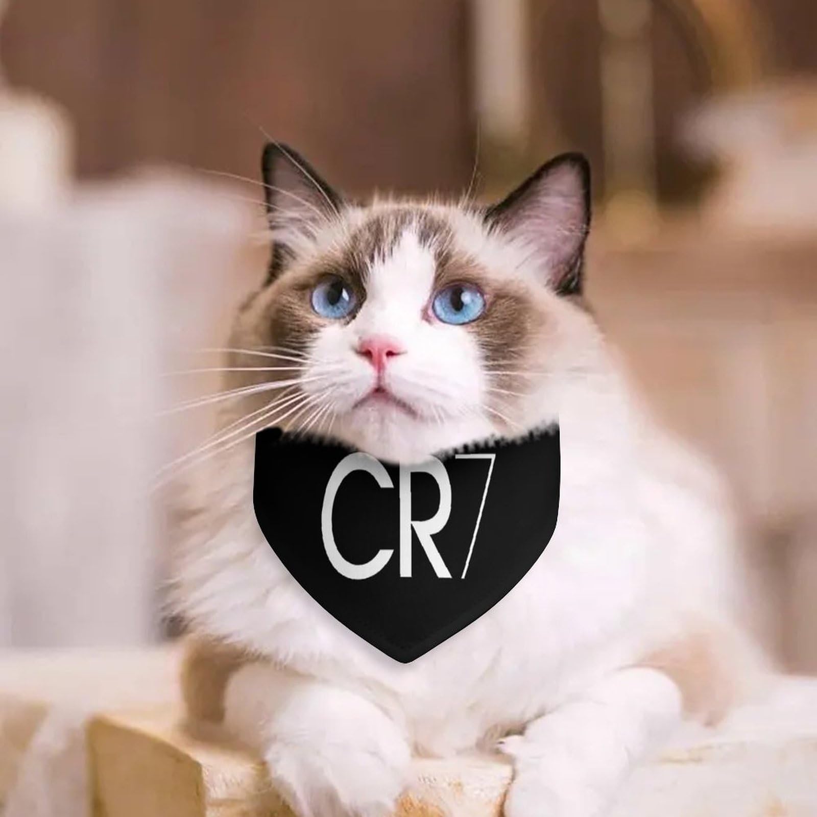 Amazon.co.jp: CR7 クリスティアーノ・ロナウド・ユベントスペット