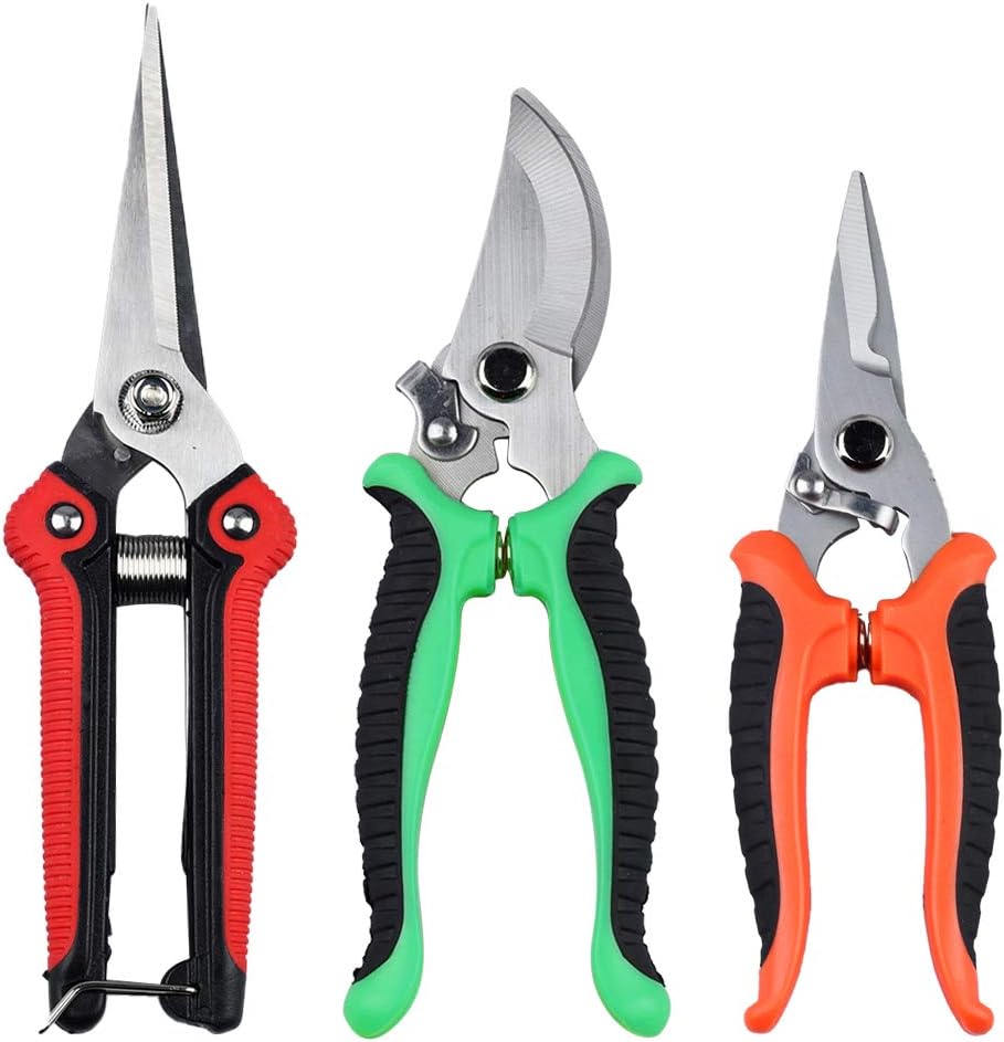 3 Packs Pruning Shear Set, Professional Pruning Shears Heavy Duty Garden Shear with Safety Lock, Hand Shock-Absorbent Pruner Shears for Flowers and Small Garden (Red+Orange+Green)