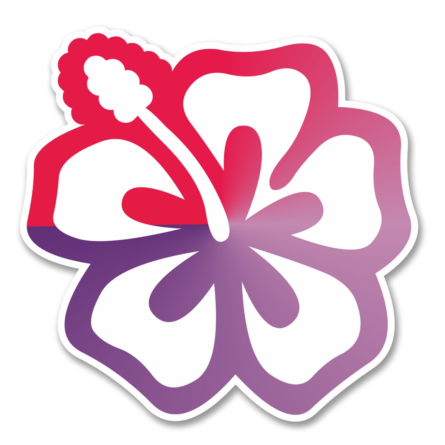Destinationvinyl Multi 2 X 10Cm Hibiscus Flower Vinyl Stickers Car Bike Laptop Helmet Hawaii Surf #6260 (10Cm X 10Cm)