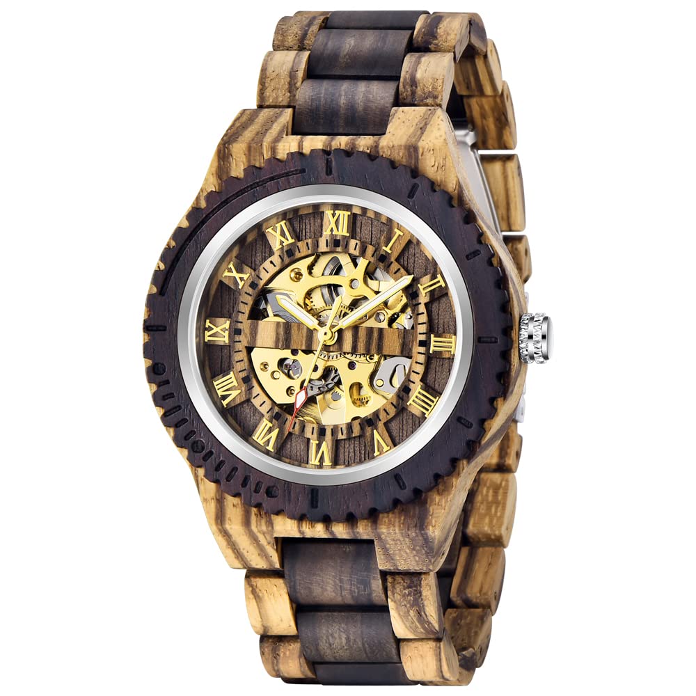 Dentily Analog Mens Watch (Brown Dial Brown Colored Strap) (B09JKBNYR8) Amazon Price History, Amazon Price Tracker