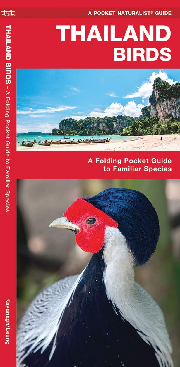 Thailand Birds: A Folding Pocket Guide to Familiar Species (A Pocket Naturalist Guide) (Nature Observation International)