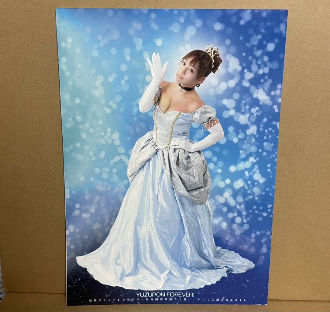 ⭕️新品⭕️ STARDOM 愛川ゆず季 引退記念興行 両国国技館 パンフレット Amazon.co.jp: ?? ?? STARDOM 愛川ゆず季 引退記念興行 両国国技