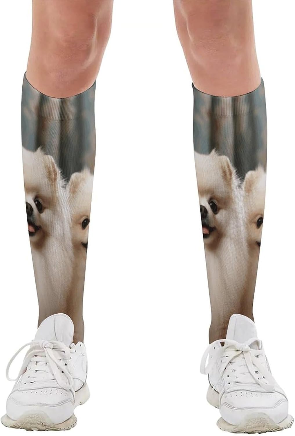 Short-haired Pomeranian Dog Knee High Soccer Socks Moisture Wicking