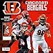 Turner Licensing Sport 2017 Cincinnati Bengals Team Wall Calendar, 12"X12" (17998011905)