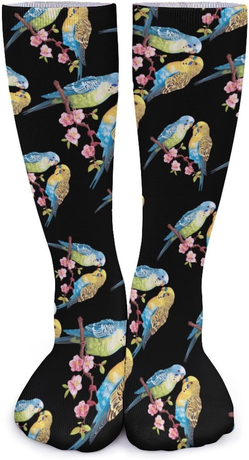 Parakeet Budgies Knee High Socks Casual Long Stockings Over Calf Sock Tube for Women Men