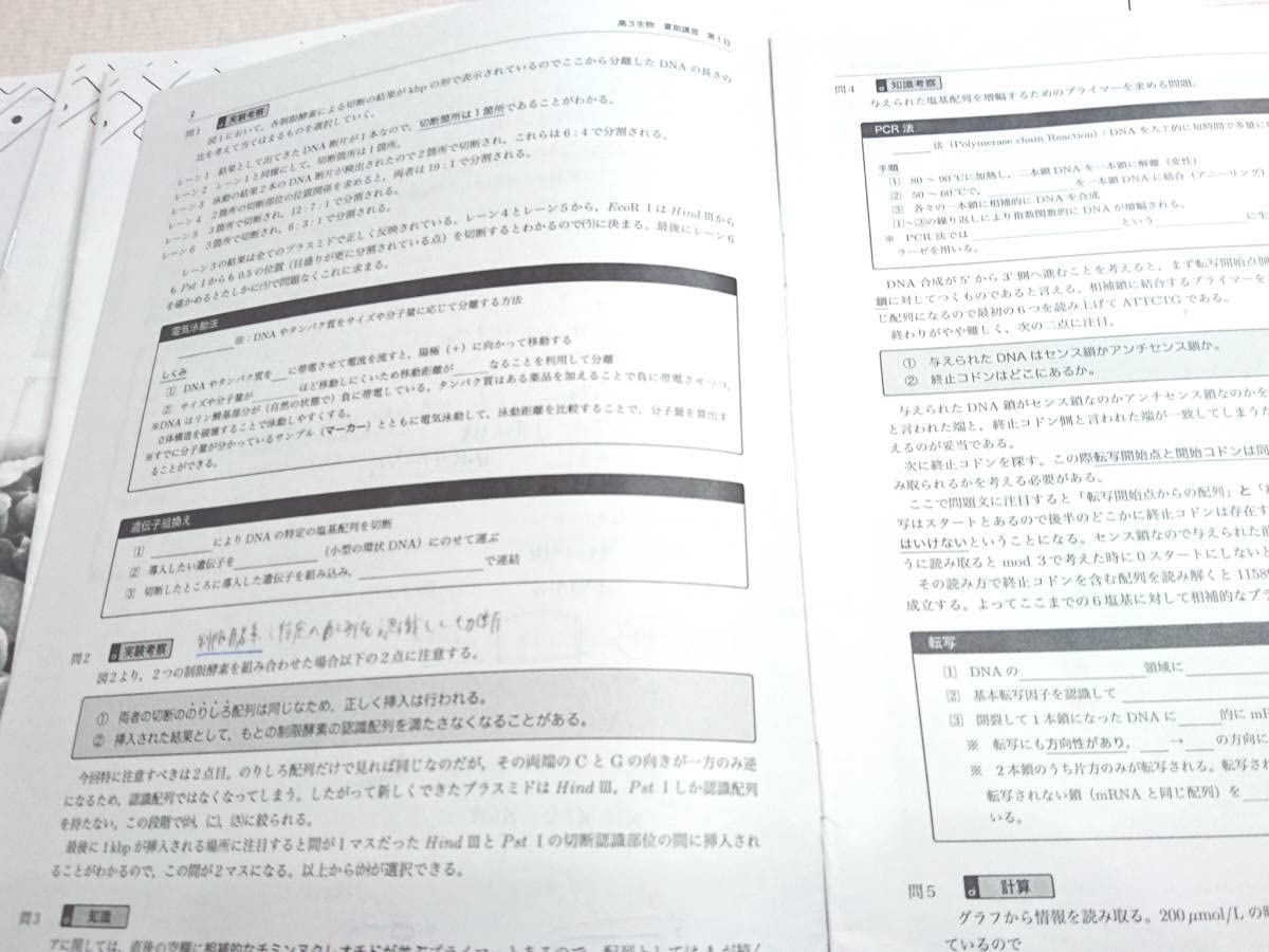 鉄緑会 夏期 19年度 高3生物 入試問題研究 講義詳説冊子 河合塾