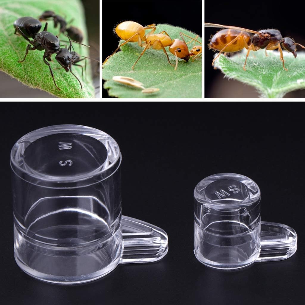Acrylic Ant Feeder,Water Feed for Ant Nest House Farm Round Drinking Bowl