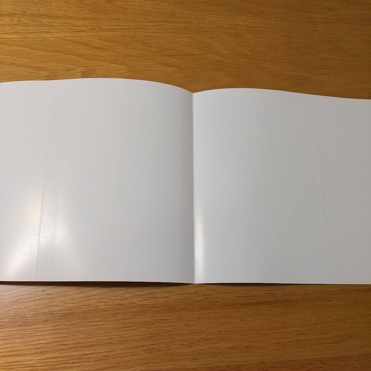 Amazon.co.jp: ダンダダン ブックカバー 購入特典 本カバー イラスト