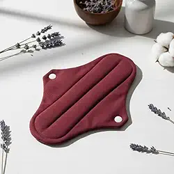 Absorvente Menstrual de Pano Lavável e Reutilizável, Tamanhos para Fluxo Mini, Normal e Intenso (Normal)