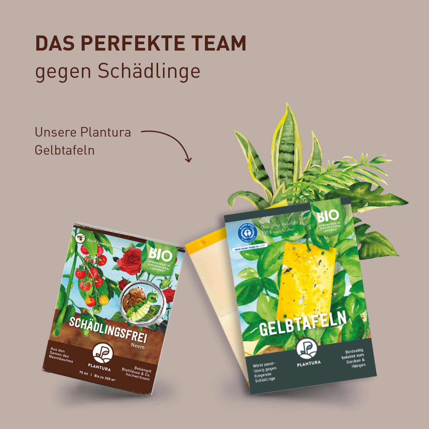 Plantura Bio-Schädlingsfrei Neem, effektive Schädlingsbekämpfung mit Neem, gegen Blattläuse, Thripse &amp; Co. an Gemüse, Kräutern &amp; Zierpflanzen, 75 ml Konzentrat für bis zu 25 L (300 m²)