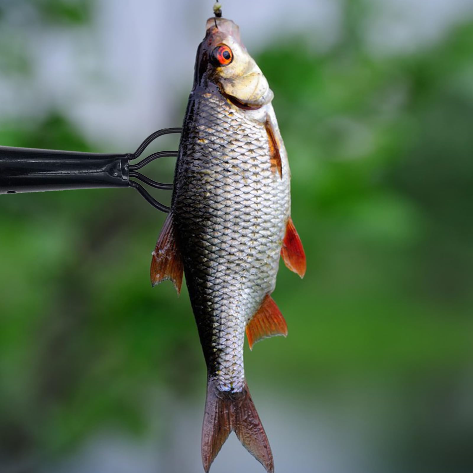 3/4/5 Zinken Barbs Tauchen Harpunen Gaffs Widerhaken Tauchen Zinken Verriegelung Angelrute Harpunen Fisch Gabeln Spitze Ersatz