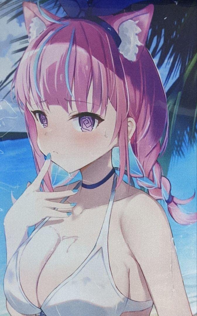 Amazon.co.jp: ブルアカ 砂狼シロコ プレイマット DHRAPCON