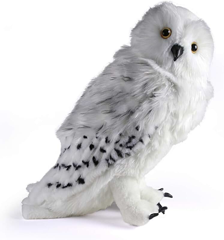 Amazon.co.uk harry potter hedwig