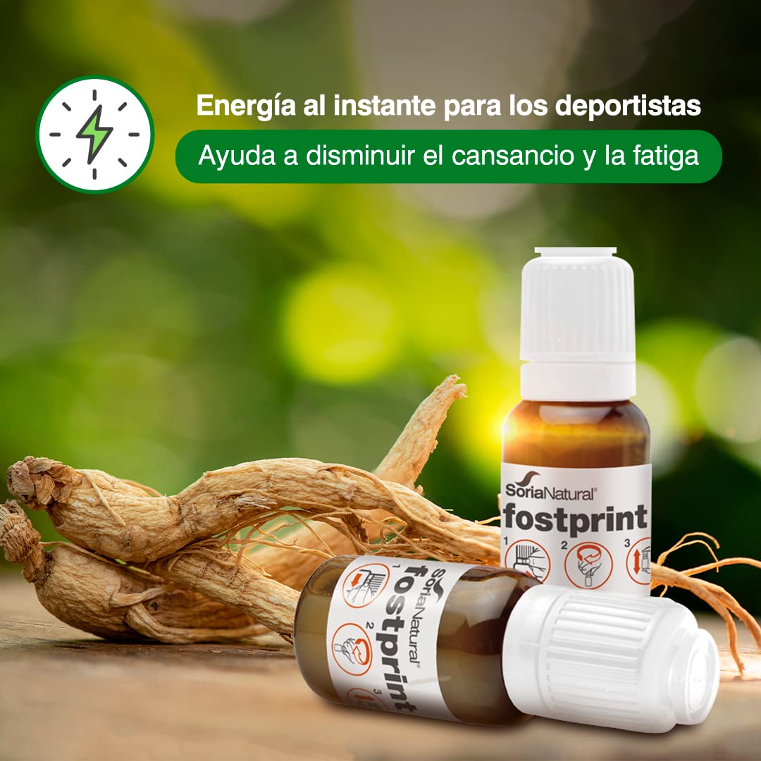 jalea real con ginseng y l-carnitina lidl Jalea Real con Ginseng - Vitaminas para el Cansancio y la Memoria -  Vitaminas Grupo B, Biotina, Vitamina E, Vitamina D, L Carnitina y Propóleo  Puro