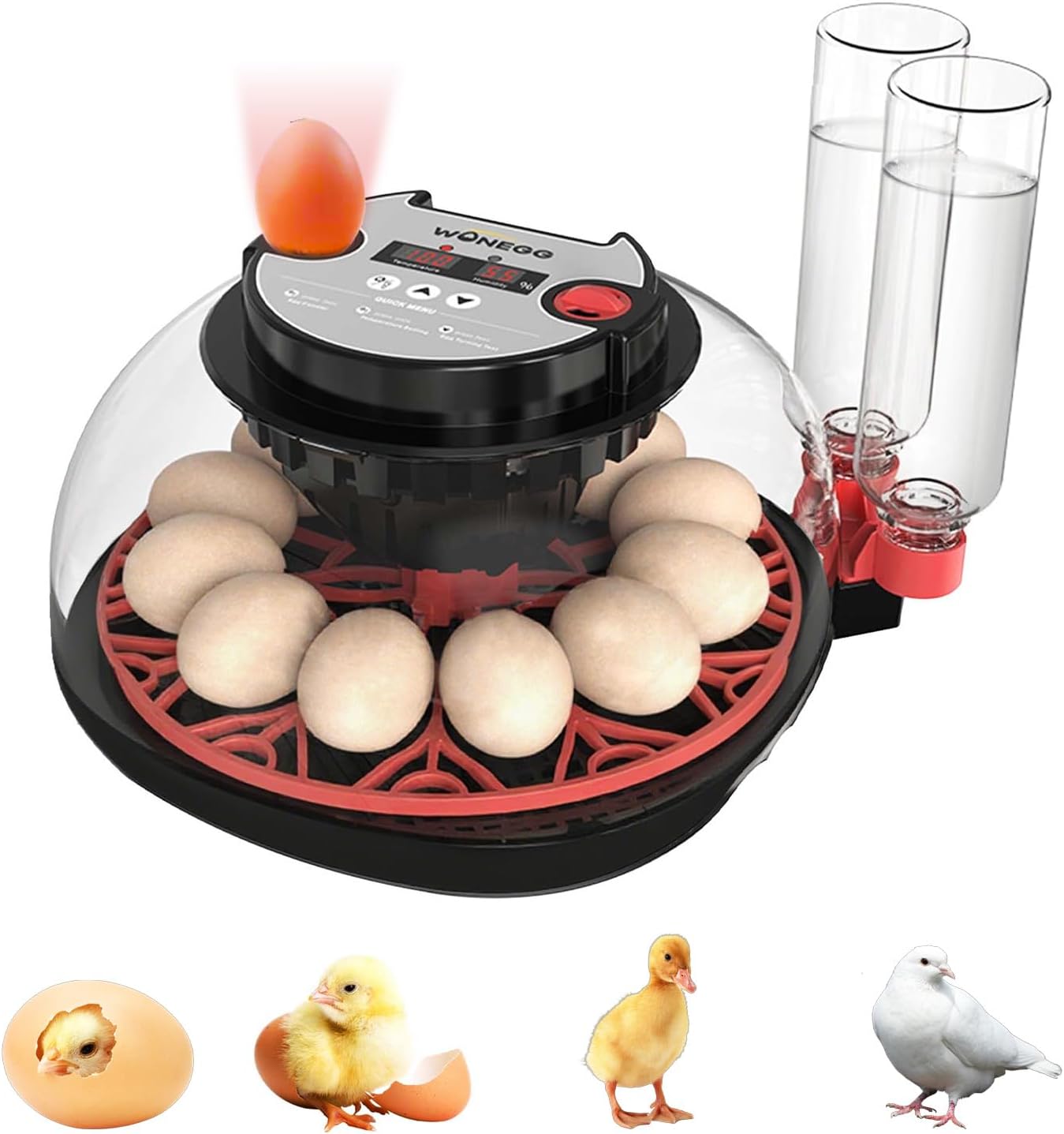 DaMohony Automatic Egg Incubator, 12 Egg Incubators for Hatching Eggs with Automatic Turner and Humidity Display, 360 View Incubator hatcher for Chickens Ducks Gooses Quail