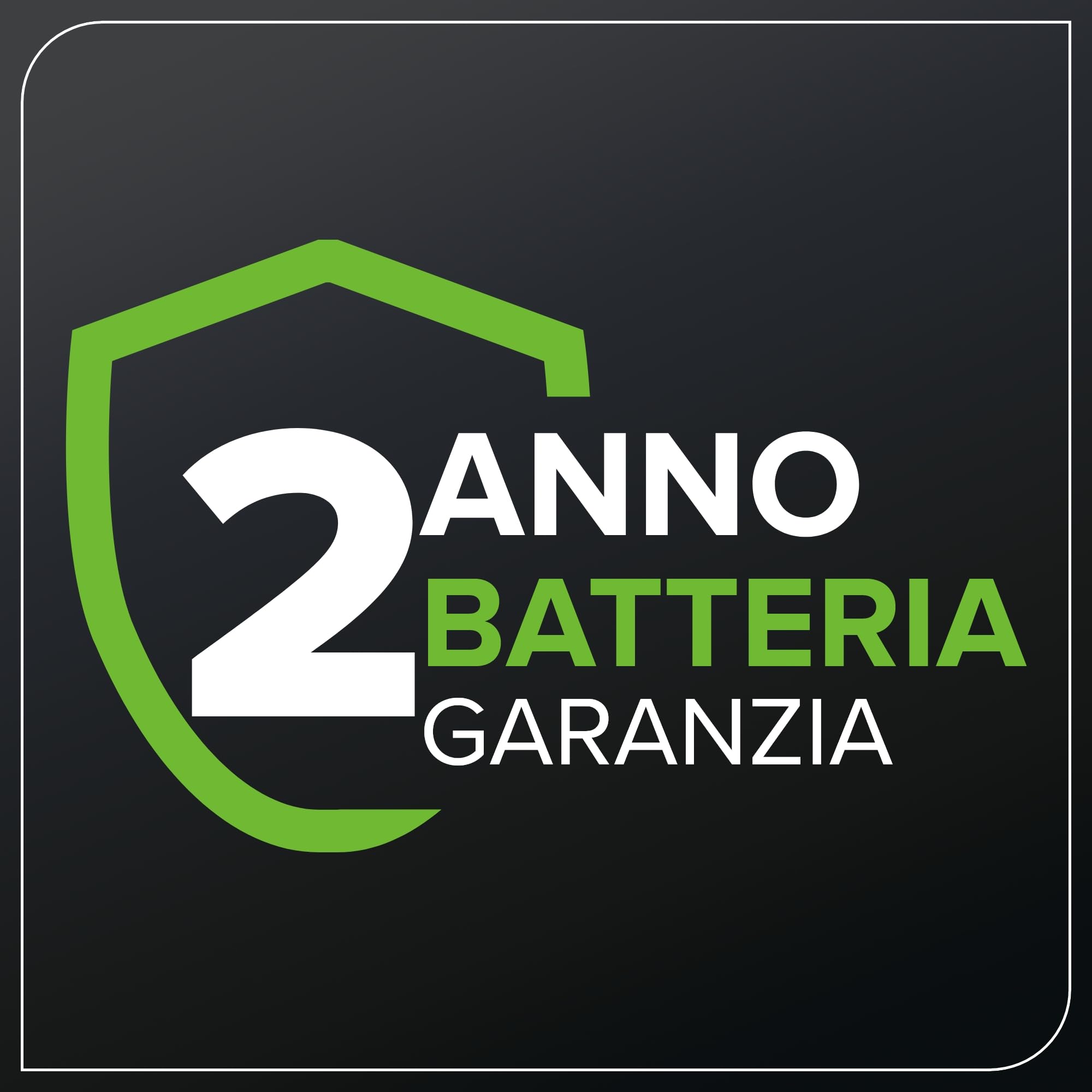 Greenworks Batteria 40V 2Ah - Batteria agli Ioni di Litio per Tutti gli Attrezzi da Giardino ed Elettroutensili Greenworks da 40V, Ricarica Rapida, Indicatore LED di Ricarica, Garanzia 2 Anni - G40B2