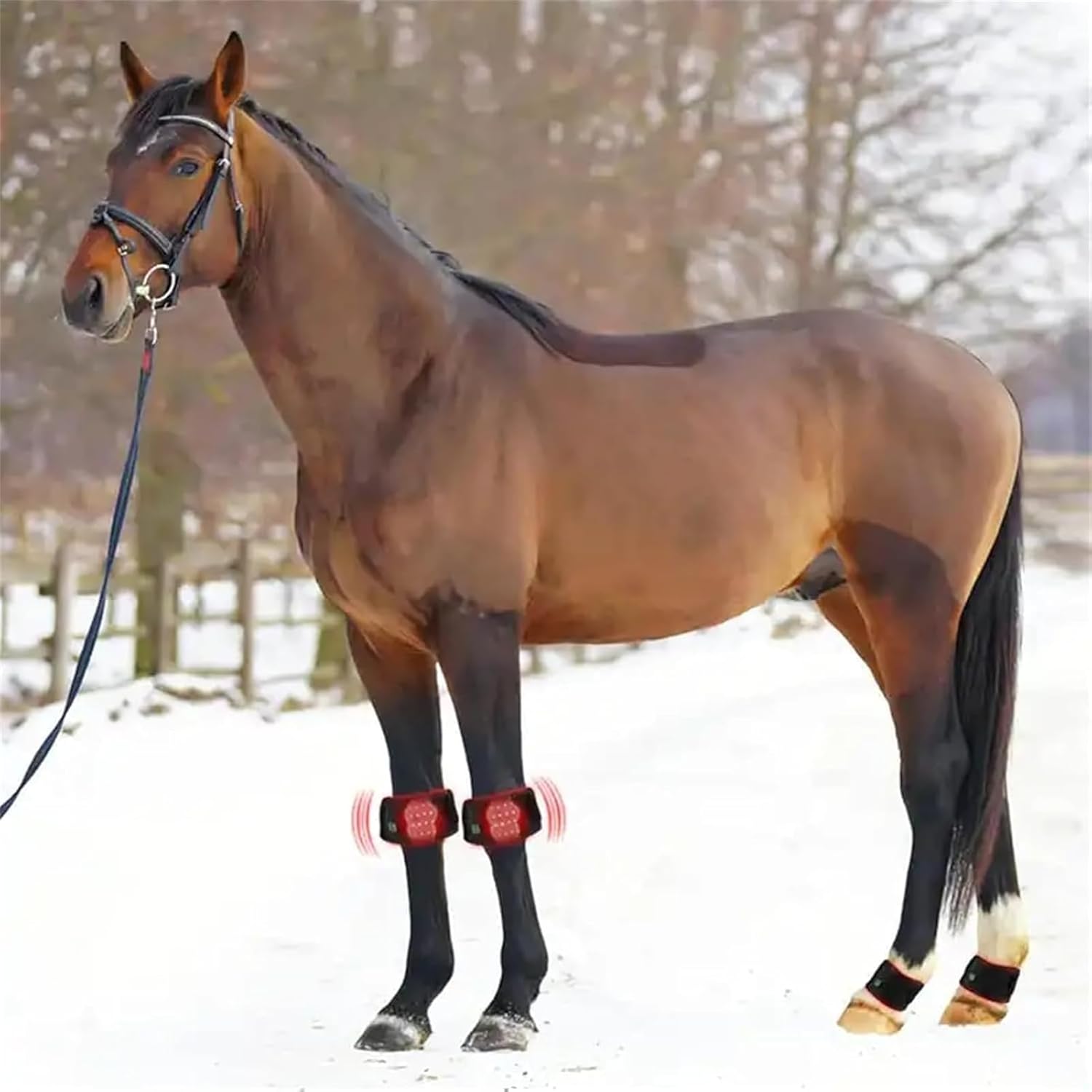 Red Light Therapy Device for Horse Leg, Infrared Light Therapy Device for Horse Leg Muscle Pull Wound, Portable Deep Light Therapy for Horse Muscle Recovery