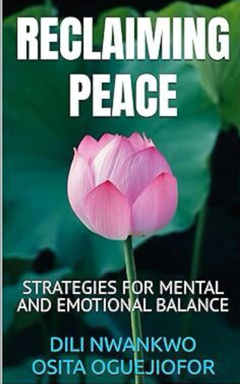 RECLAIMING PEACE: STRATEGIES FOR MENTAL AND EMOTIONAL BALANCE
