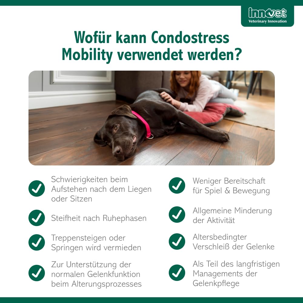 Condrostress Mobility Soft Chews für Gelenkunterstützung bei Hunden, 90 St. | Für Knorpelstoffwechsel & Beweglichkeit, Mit Eierschalenmembran, Boswellia Serrata & Vitamin C + E, Erwachsene & Senior Hunde