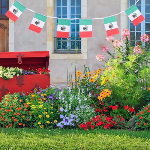 Drapeaux mexicains en guirlande pour décorer un anniversaire - 7