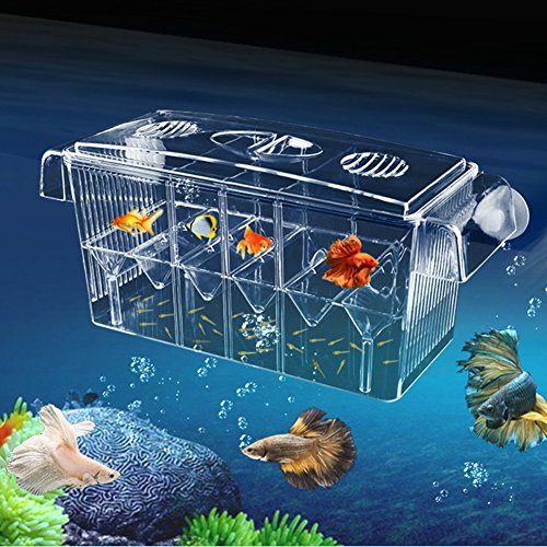Incubateur de Poissons Aquarium Elevage Boîte de Poissons d'Écloserie Multifonctionnelle Auto-flottante Haute-Transparente, Grande Boîte d'Isolation Double Cover