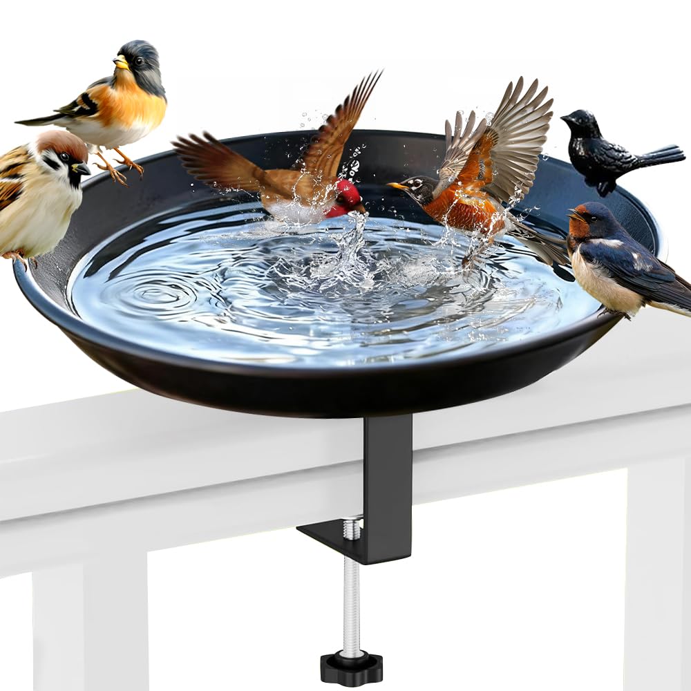 Bain d'oiseaux Suspendu pour Balustrade de Balcon 21cm Fonte Mangeoire Oiseaux