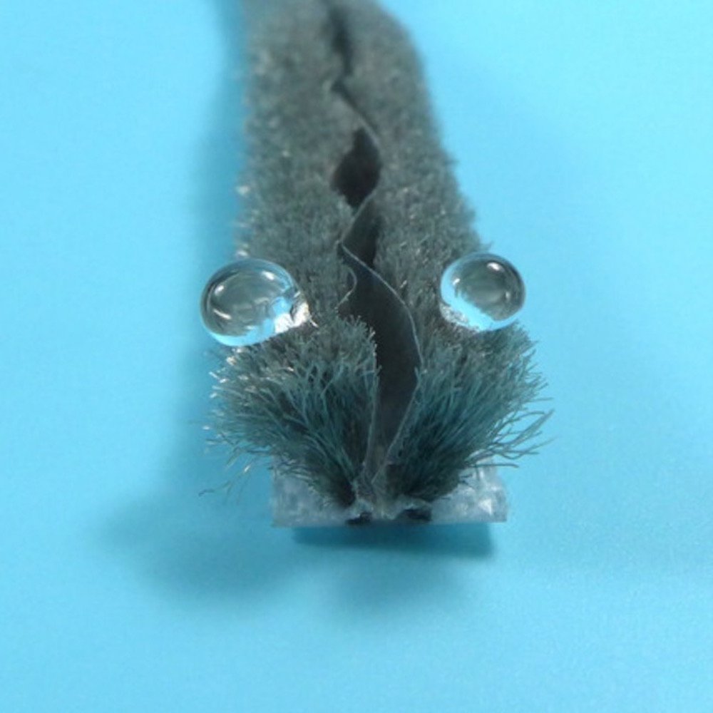 Sliding Winow Door Brush Seal Felt Draught Excluder Insert Wool Pile Weather Stripping Weatherproofing Waterproof Hydro-pro 10 Meters 32.8 Feet +PVC Gray (5mm x 6mm x 10 meters)