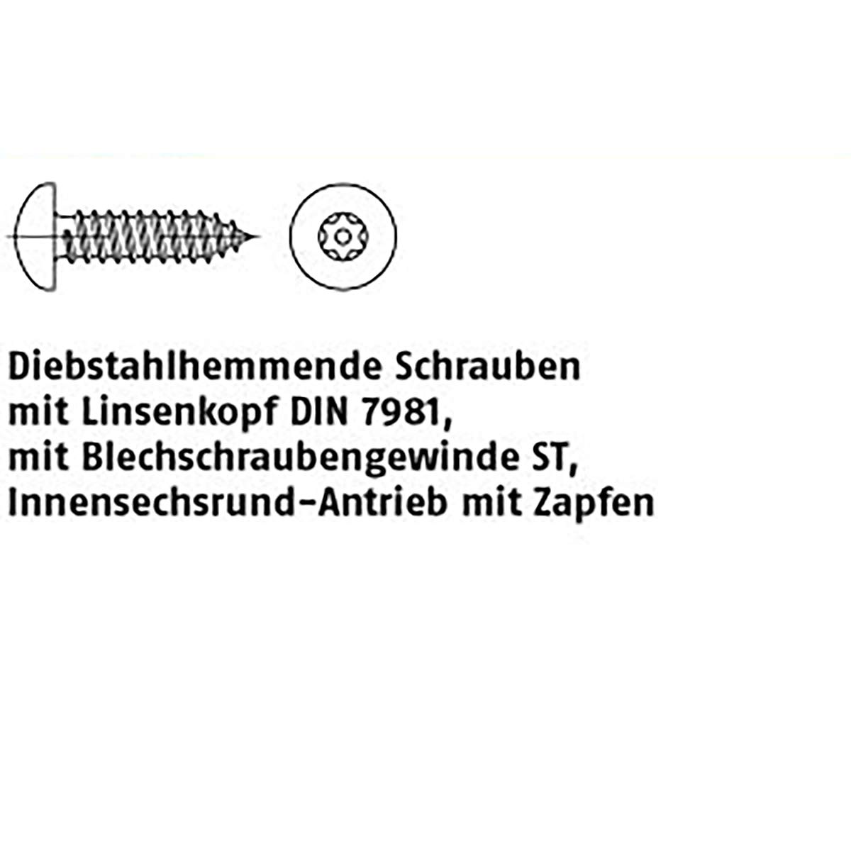 Vis de sécurité D7981 ART 88114 en inox A2 5,5x19 mm T27