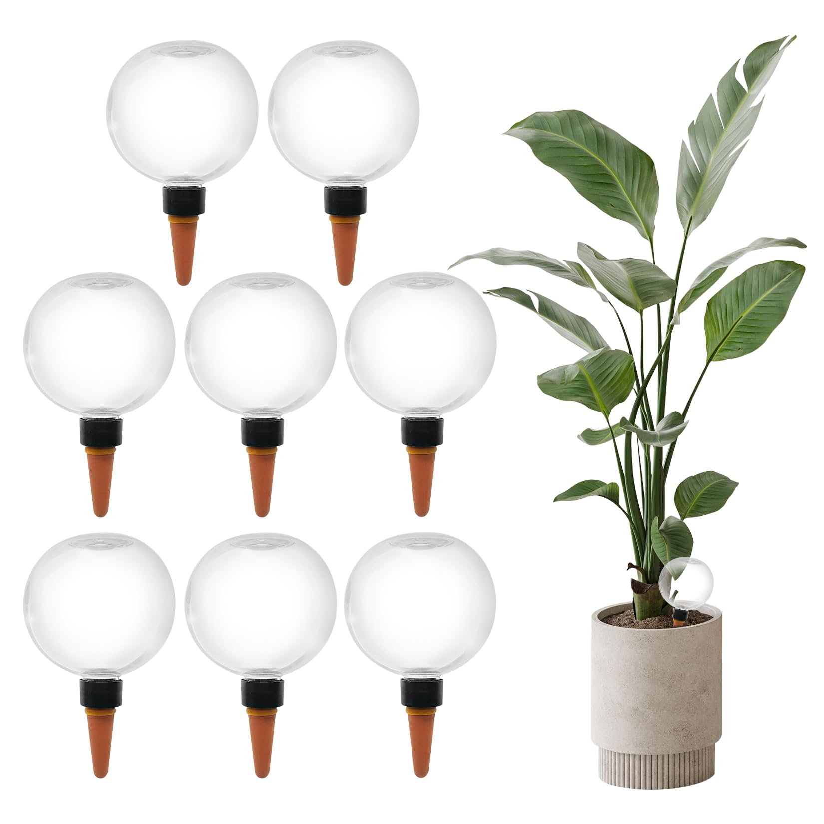 8 Pièces Distributeur Eau Plante Arrosage Plante Interieur Arrosage Automatique Interieur Plantes De Balcon Et De Jardin Idéal pour Les Vacances Et Le Quotidien (500 ML