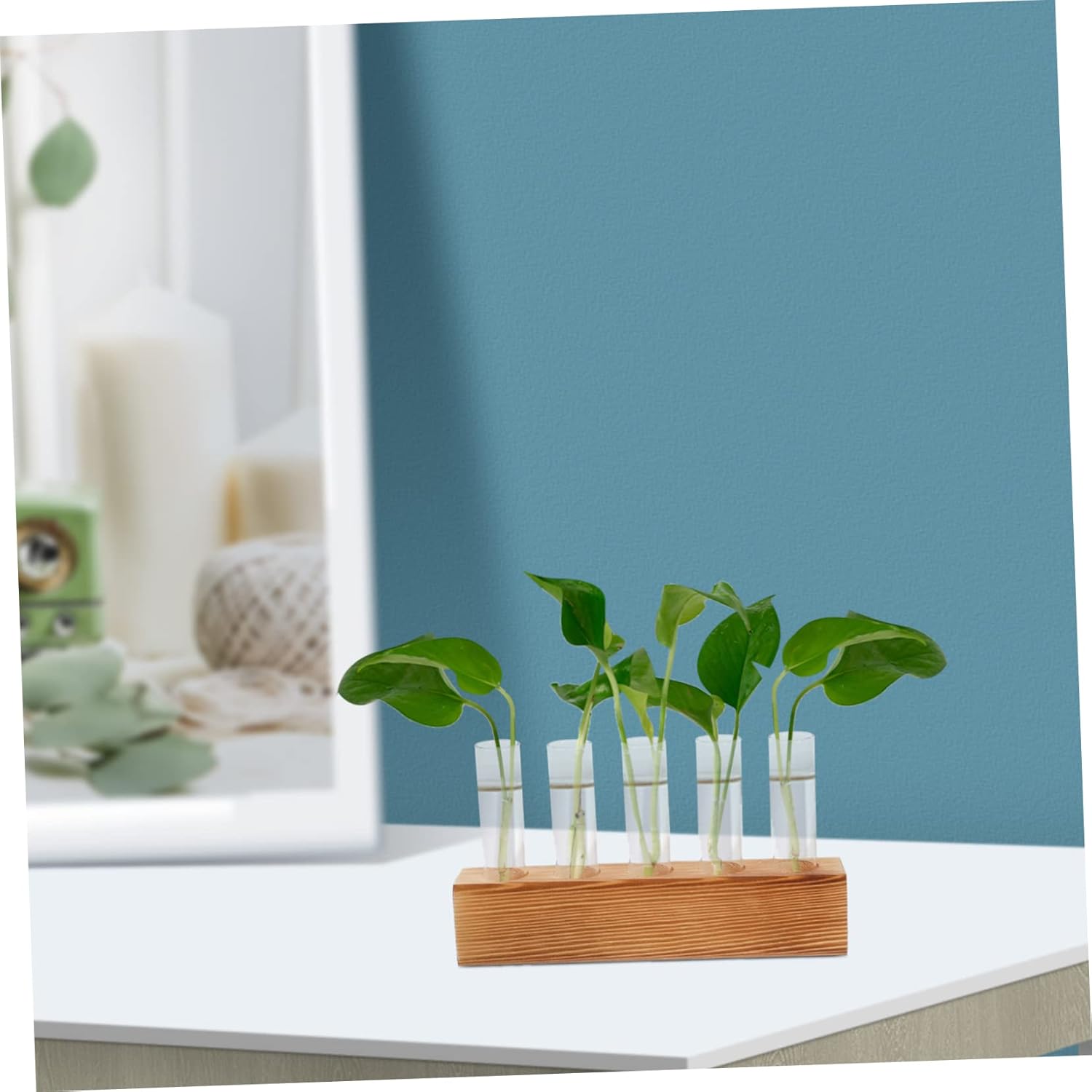 Happyyami 4 Sets Hydroponic Vase Test Tube Flower Holder Air Plant Terrarium Flower Tube Vases Glass Tube Planters Glass Hanging Planter Propagation Station Metal Flower Stand Hydroponics