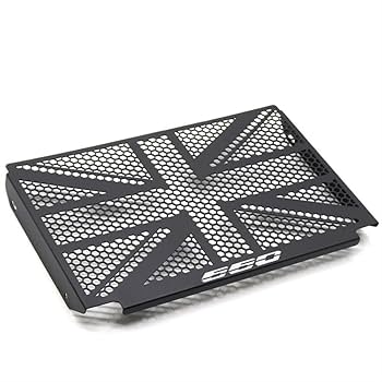 R&G Radiator Guard For Triumph Trident 660 (2021+) (RAD0270BK