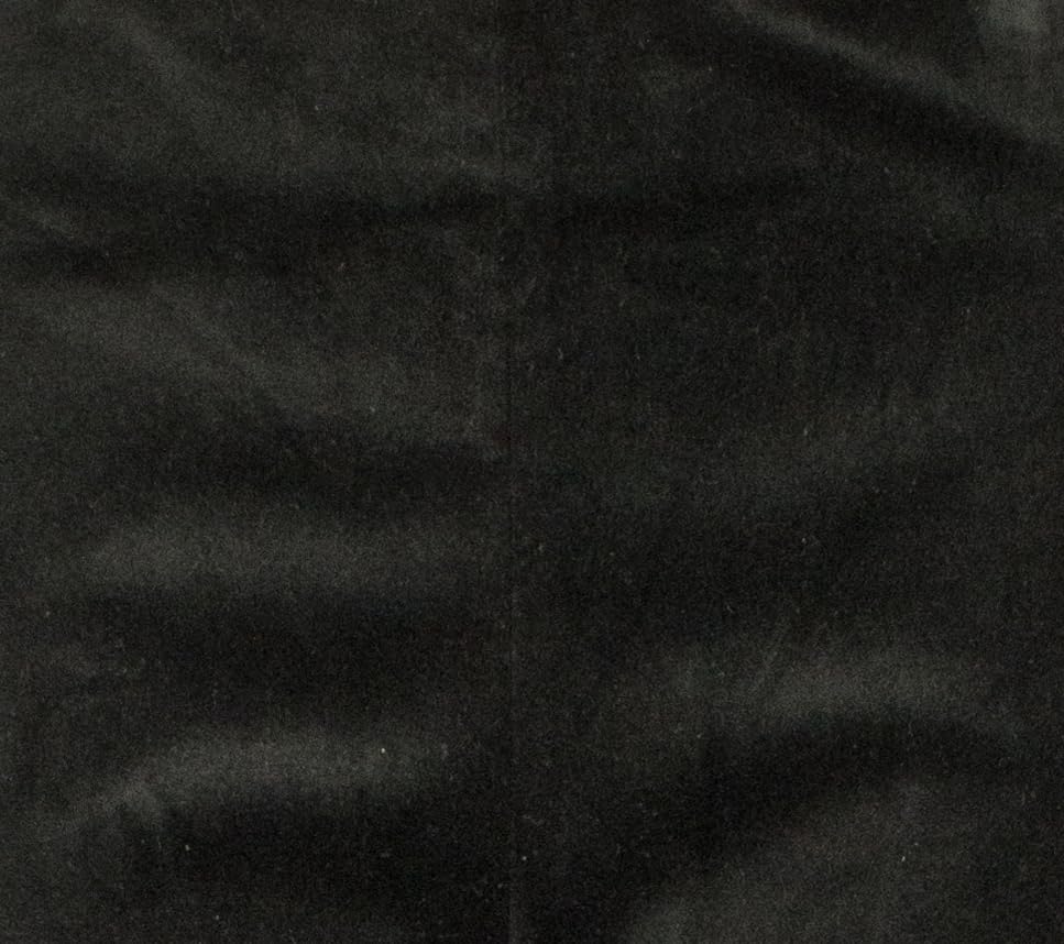 Ralph Lauren Women's Plus Size Stretch Velvet Skinny Ankle Pants 16W Black3