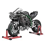 1/16 Alloy Dynamic Motorcycle Model, Alloy Diecast Simulated Motorbike, Dynamic Display Model with Suspension, Free Roller, Collection Gift (H2R)