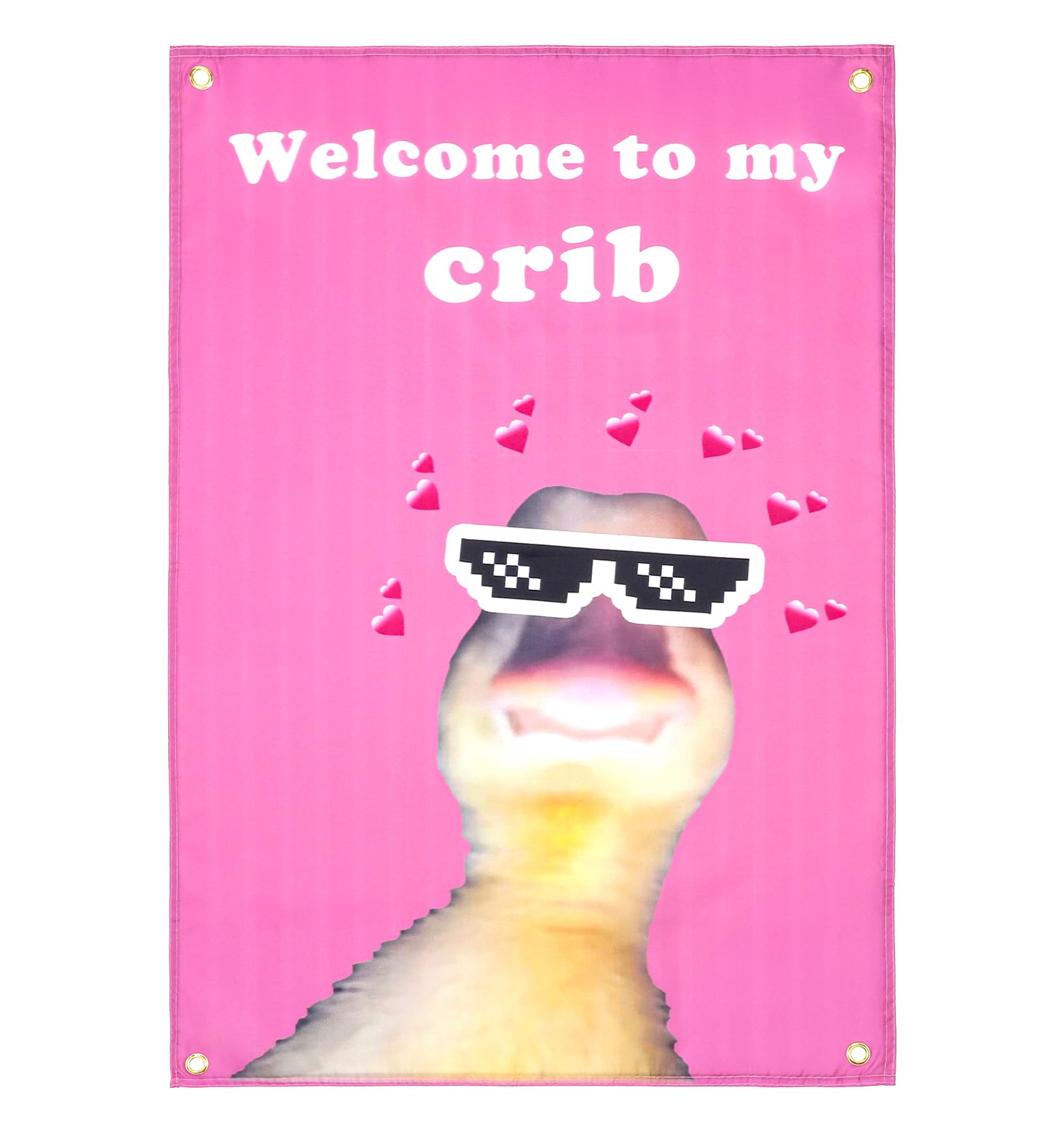 Funny Flags, Welcome to My Crib Slogan Funny Posters Duck Face Tapestry Cool Bedroom Decor Flags for Room Wall Indoor & Outdoor Garden Parties