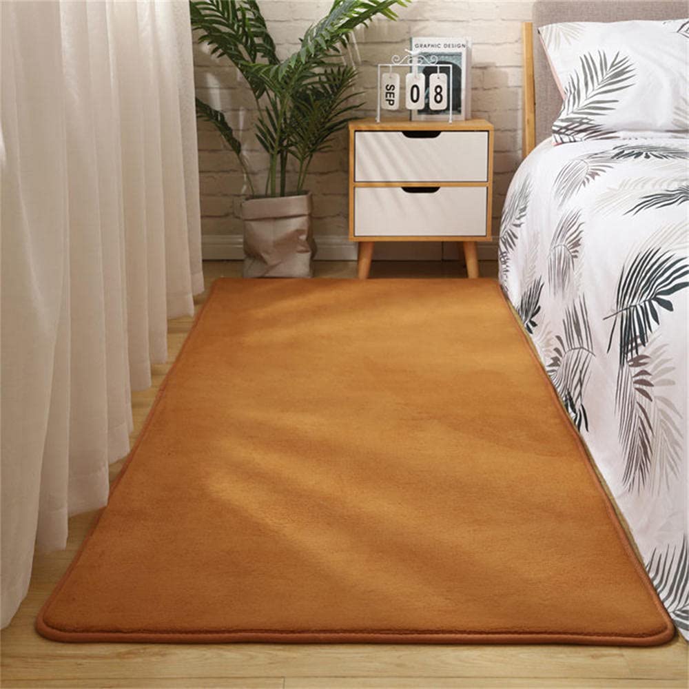 Tapis salon moderne antidérapant LUNEZY résistant à l'usure pour protéger le sol de la cuisine