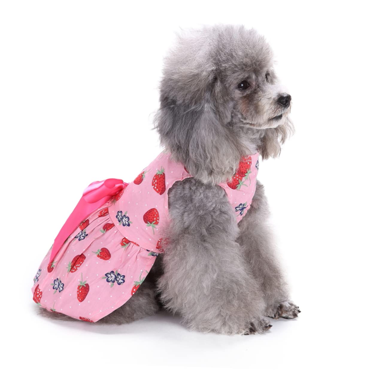 BESPORTBLE 3stücke Pet Dog Dress Mit Schleife Ärmelloses Kleid Für Hunde Charmantes Design Erdbeergröße Für Alltag Feiertage Und Fotoshootings