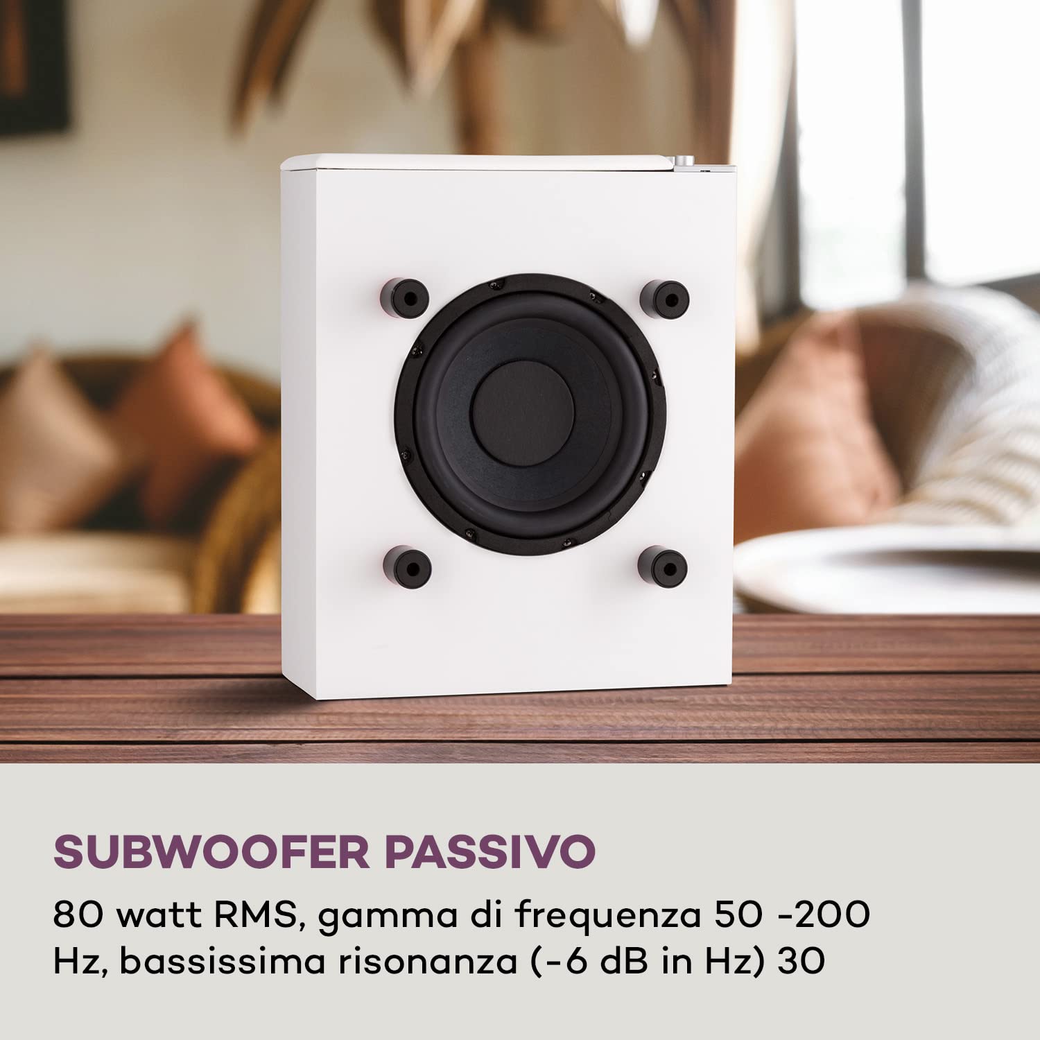 AUNA 2 Subwoofer Passivo, Casse Acustiche Passive 80W RMS con Output Max di 100W, Grandi Bassi, Design Compatto per Sistema Stereo e Home Theater, Amplificatore Subwoofer TV AUX per MP3 e CD