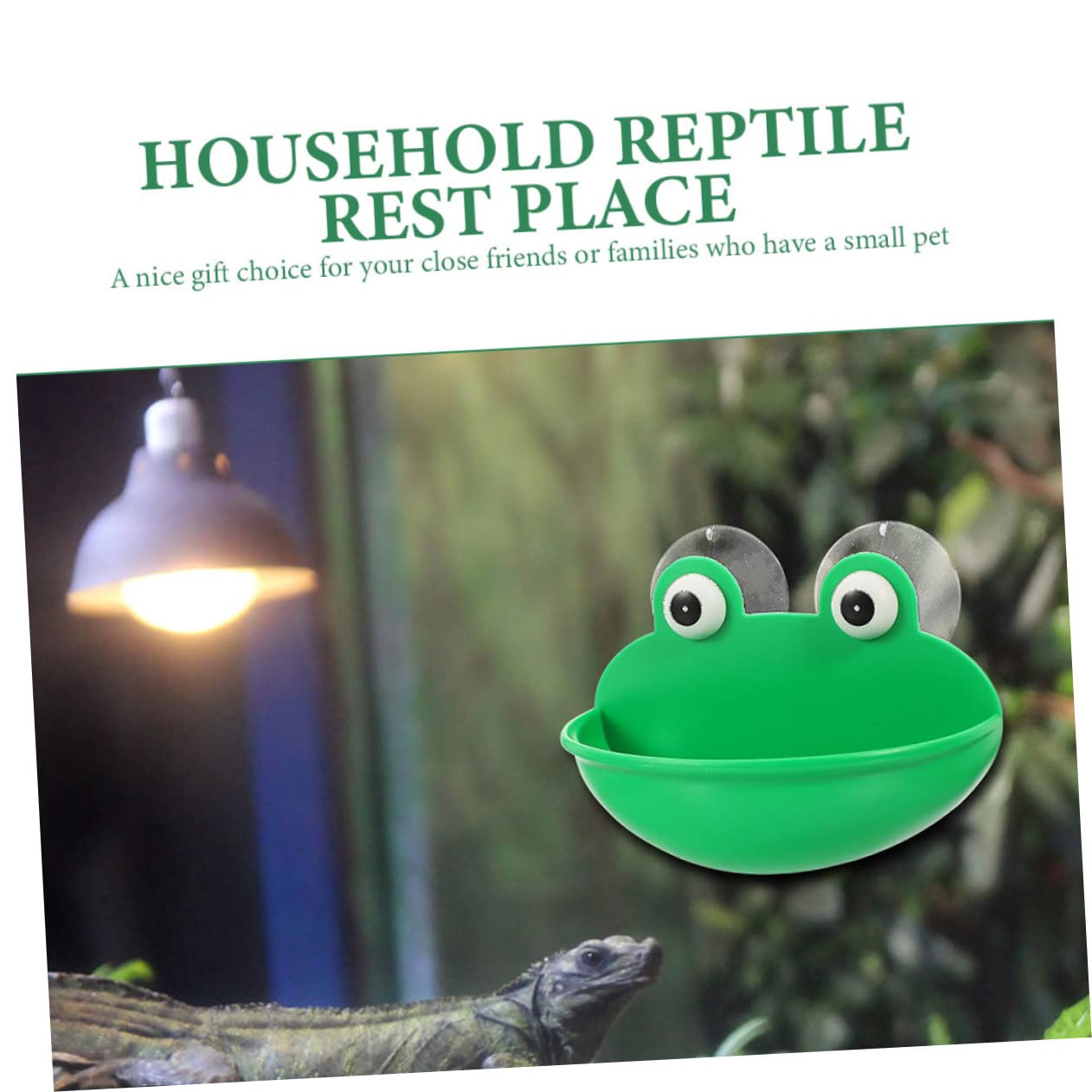 INOOMP 6pezzi Terrarium Cup Rest Platform Per Rettili Habitat Decorativo Per Gechi e Luogo Accogliente e Multifunzionale Per