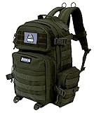 BARRERA warriors 25 L Tactical Backpack: durable military-style backpack with MOLLE system for everyday use, gym, hiking, fishing, camping, and outdoor sports. (Olive Drab, Army green/Military Style)