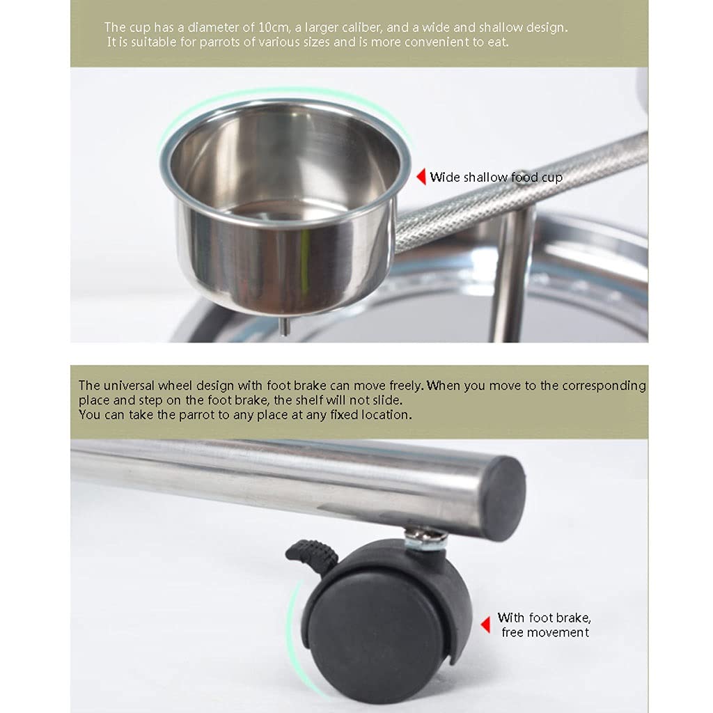 Supporto per pappagalli in acciaio inox per pappagalli medi e grandi, ideale per ara, canarino, calopsitta, inseparabili, fringuelli, pappagalli e piccoli pappagalli, espositore per gabbia per uccelli