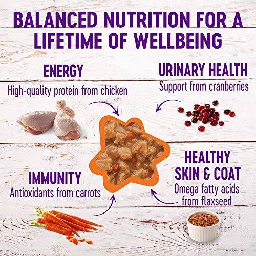 Wellness Complete Health Gravies Grain Free Canned Cat Food, Chicken Dinner, 3 Ounces,Count 12(Pack of 1) - Image 3