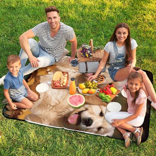 Tapis de plage pliable imperméable pour protéger votre chien de l'humidité - 8