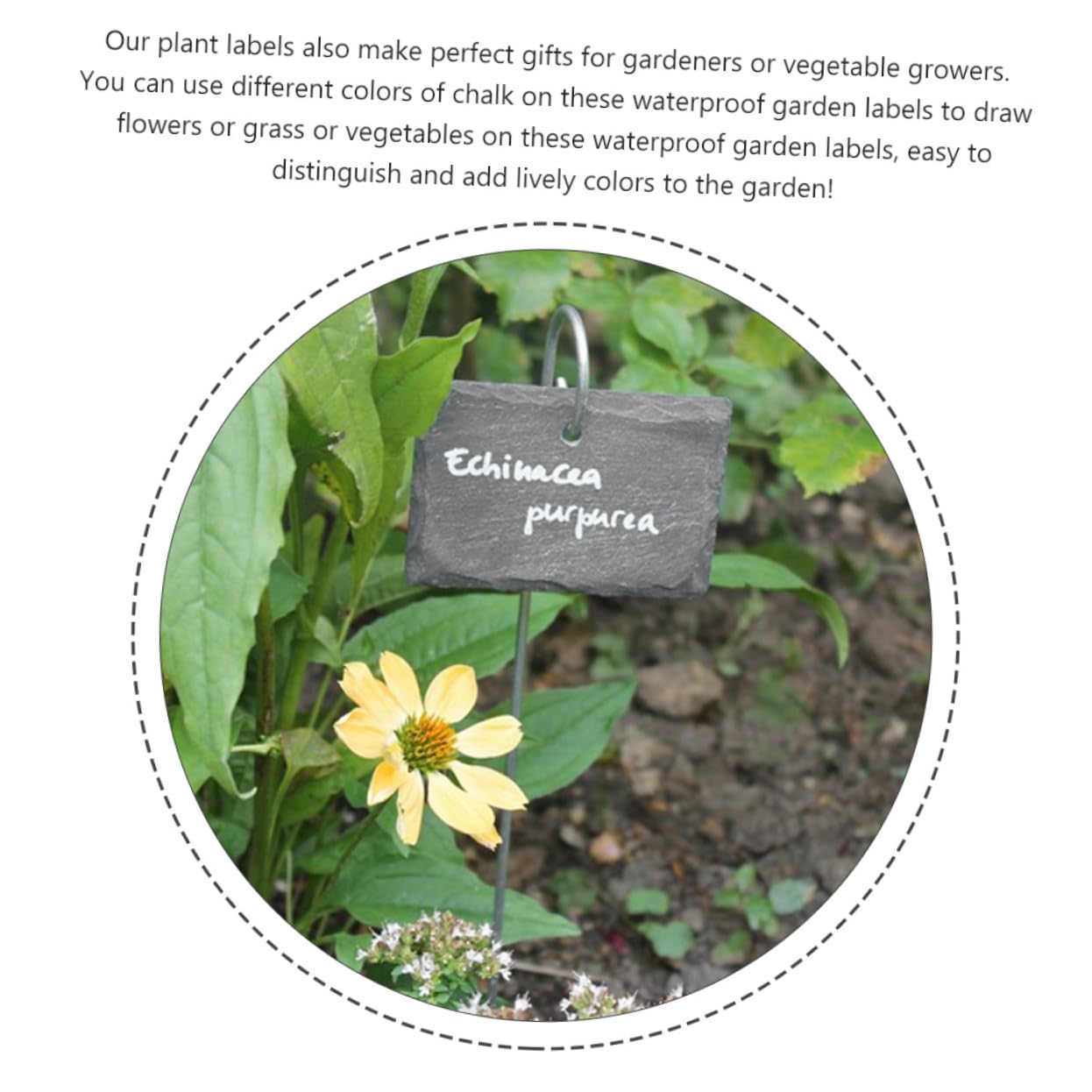 BESPORTBLE Etichette per Piante in Ardesia Nera, Facili da Scrivere, Leggere e Portatili, per Fioriere e Aiuole, Accessori da Giardino